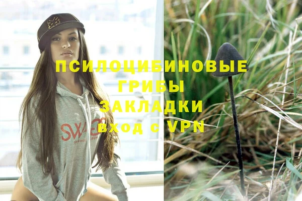 PSILOCYBIN Абинск