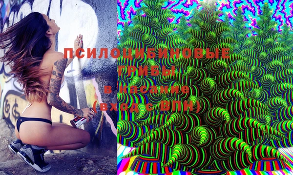 jwh Осинники